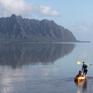 Meet your Posher, Vivian